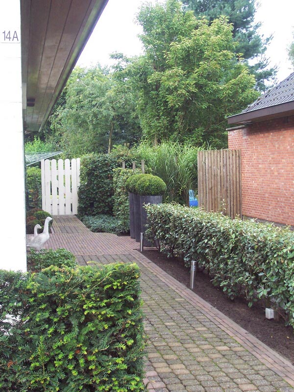 foto tijdloos